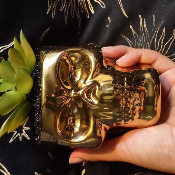 golden skull succulent 💀 - Picture 4 of 7